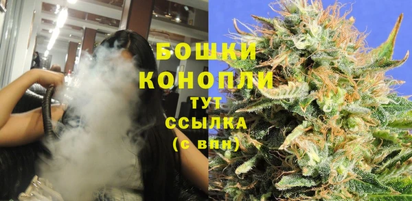 прущие грибы Верхнеуральск