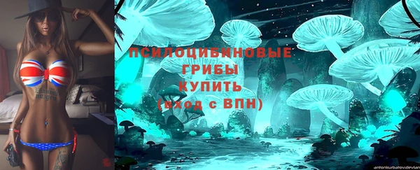 ГАЛЛЮЦИНОГЕННЫЕ ГРИБЫ Верхний Тагил